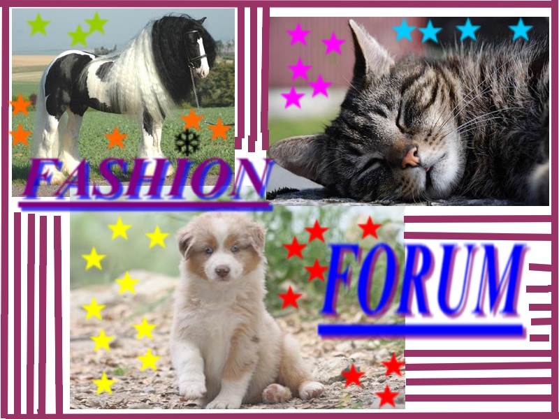 FASHION FORUM