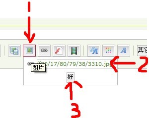 QT：6167礼包申请  (暂不开放兑换) 4410