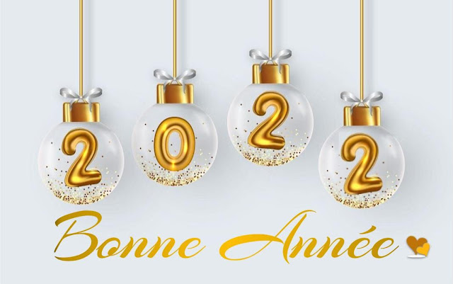 BONJOUR ET BONSOIR DE JANVIER  2022 Belle-10