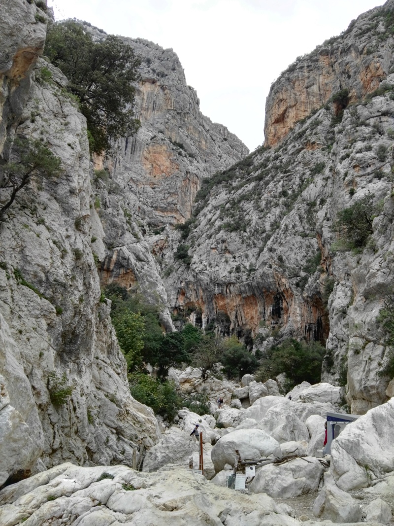 Sardaigne été 2018 Img_2014