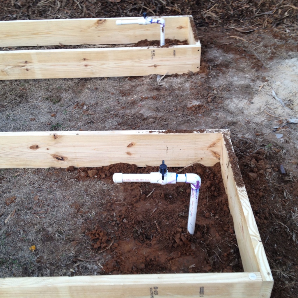 Homemade Concrete Raised Beds Img_0813