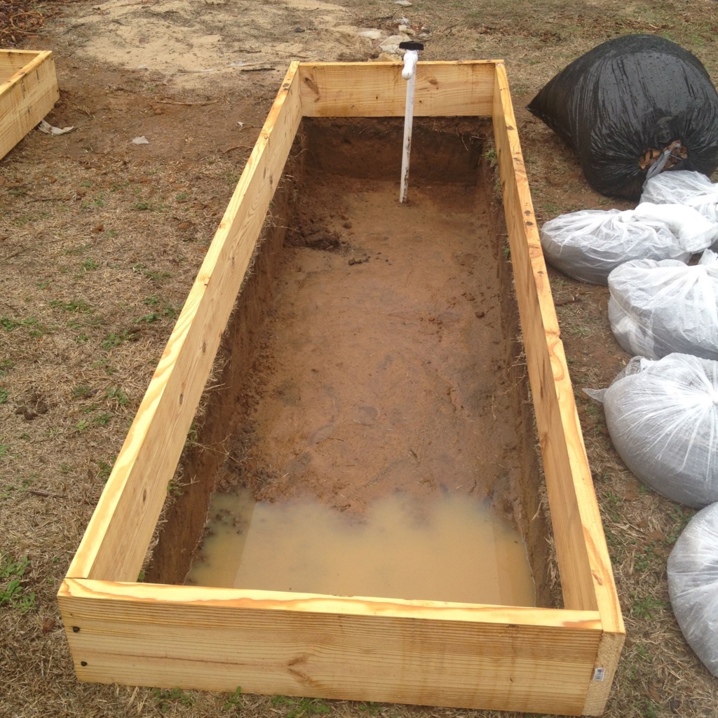 Homemade Concrete Raised Beds Img_0818