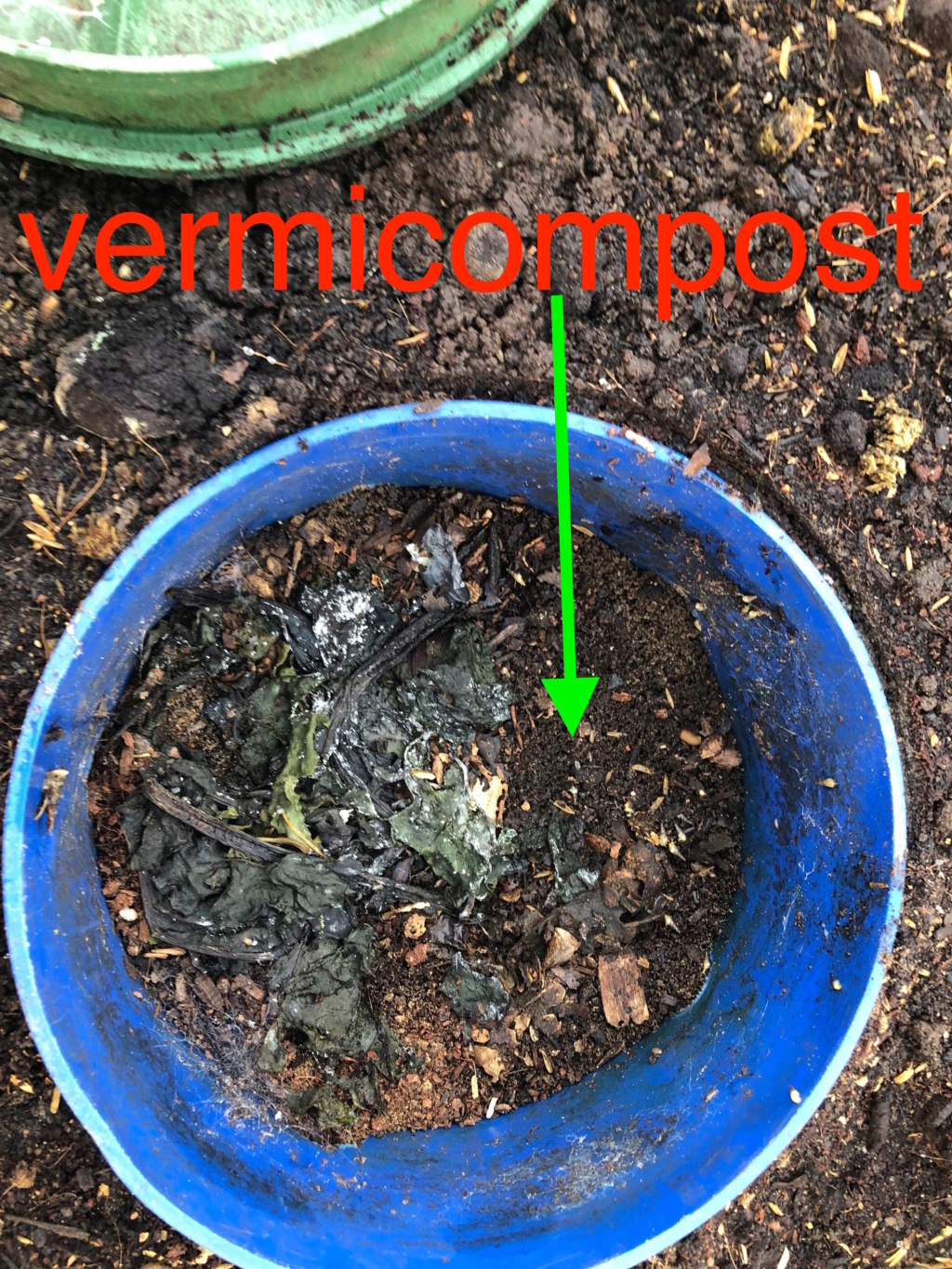 The SFG journey-vermicomposting the seed bed Inside10