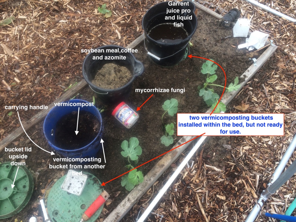 The SFG Journey-Johnson Su Bioreactor for composting, No turning - Page 2 Vermic14