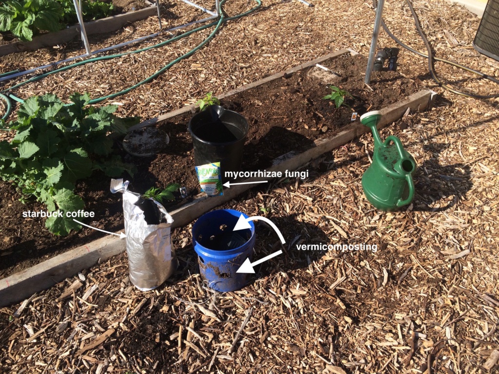 The SFG Journey-Johnson Su Bioreactor for composting, No turning - Page 2 Vermic15