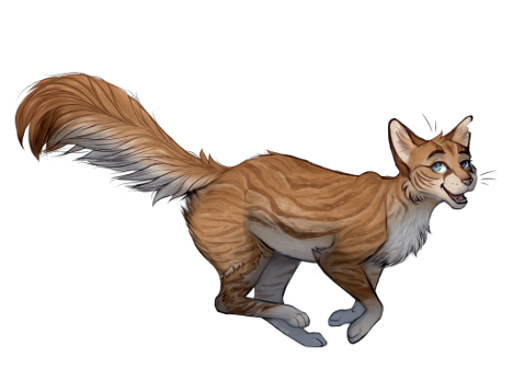 WindClan Lager Steppe27