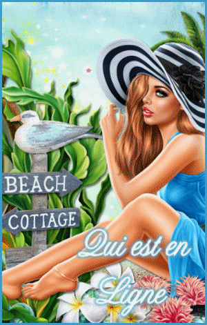 Qui est en ligne ?