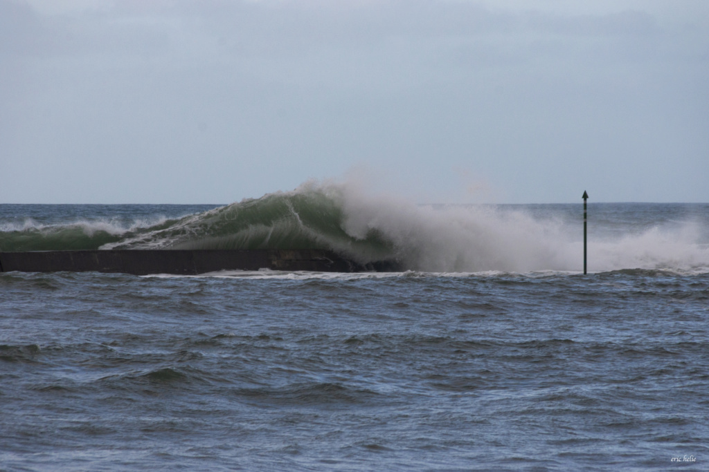 Plouescat : baie de Kernic/PorsMeur/Pors-Guen...  - Page 24 _dsc2812