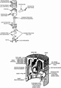 Automehaničarska radionica - Page 2 Fb_img62