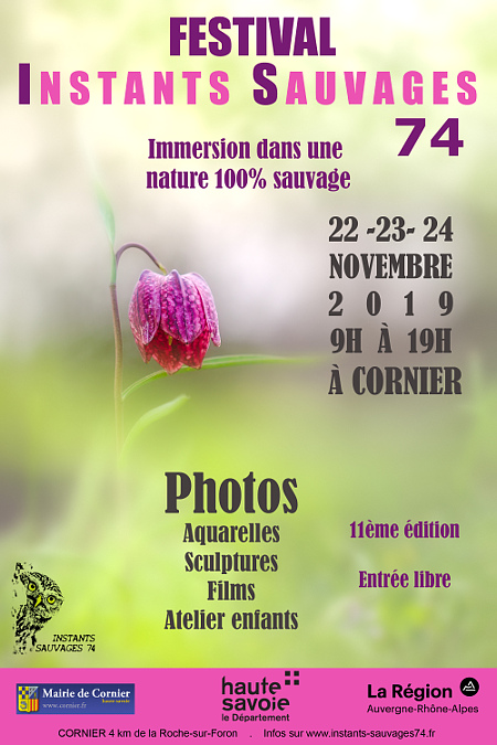 animations semaine 47-2019 Affich10