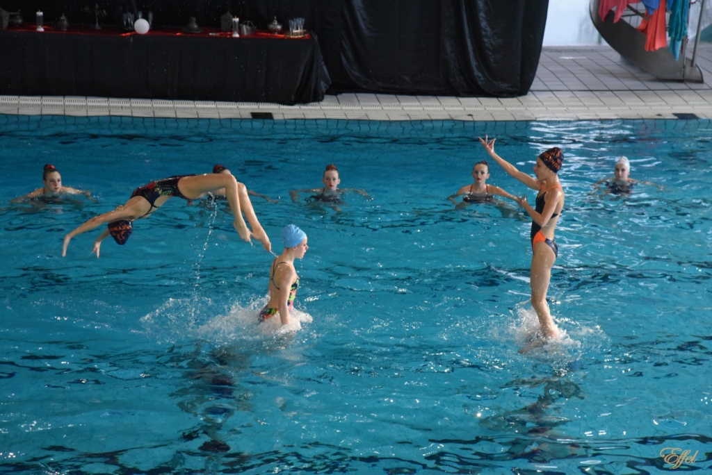 WinterShow Natation Artistique Dsc_1716