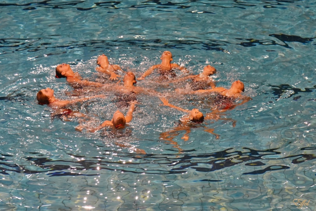 WinterShow Natation Artistique Dsc_2010