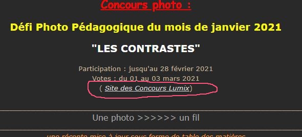 concours du mois de fevrier 2021 " LES CONTRASTES " - Page 3 Siteco10