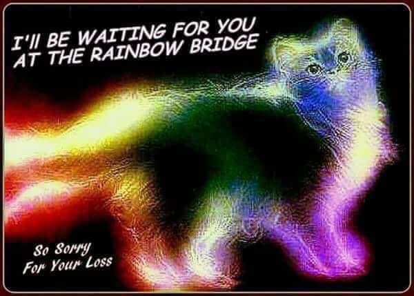 Rainbow Bridge Rememberance Day ~ 28 August I_will10