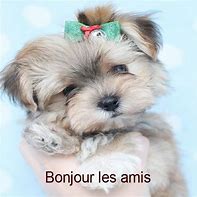 JUILLET 2018 - Page 4 Thlsw310