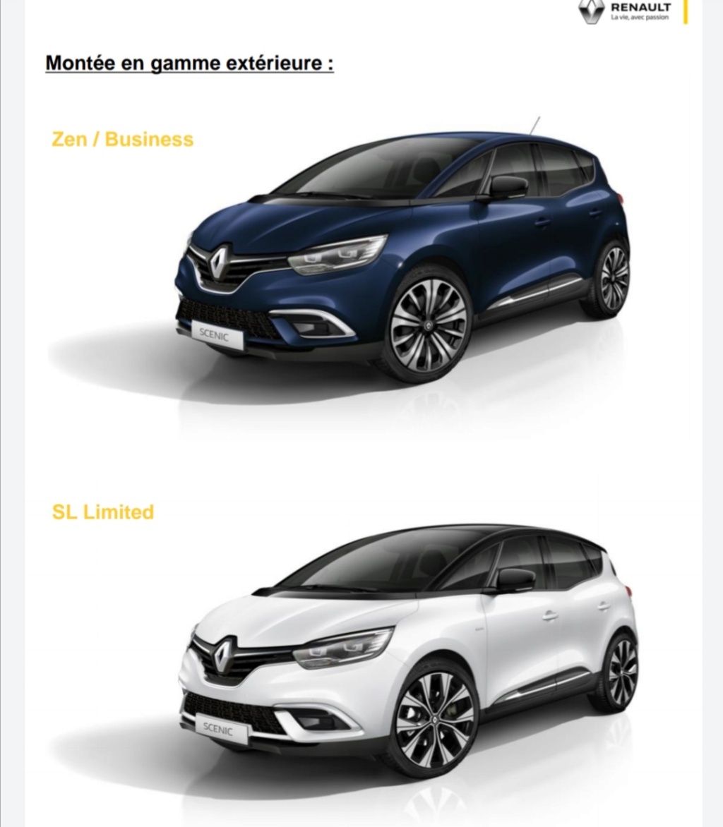 sczoni22.jpg