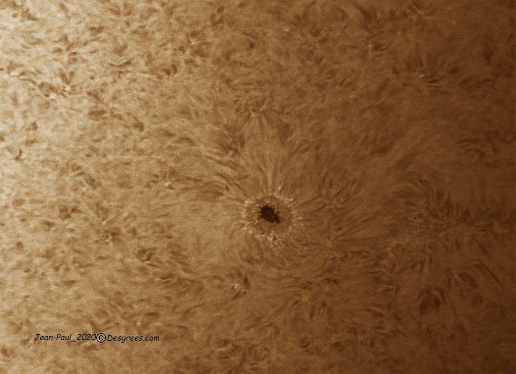 SOLEIL jour 2  23.07.20 Ha_ar211