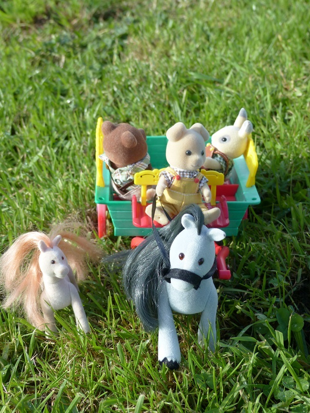 Bienvenue dans la Forêt de Sylvanians... 00139