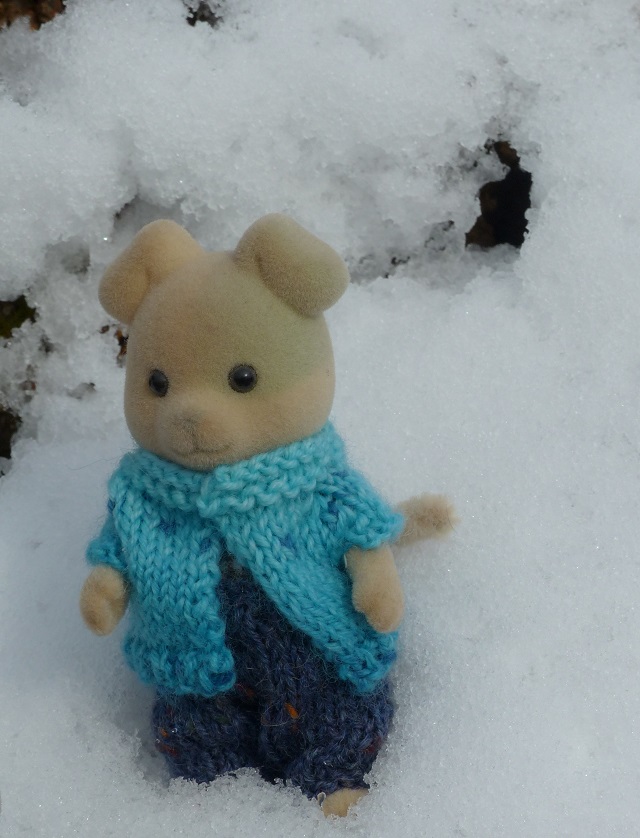 Mes familles sylvanian - Page 10 22210