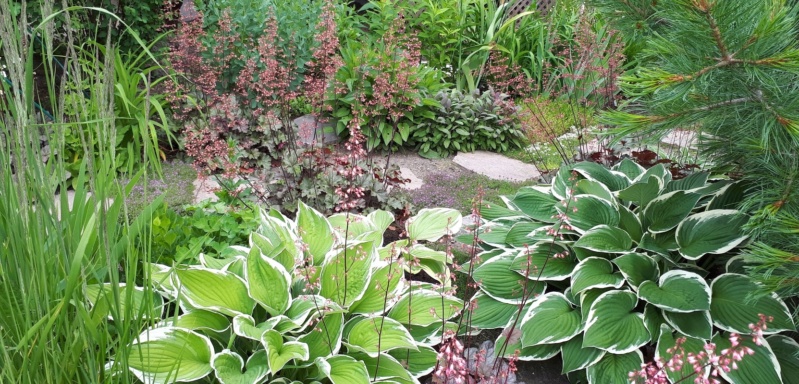 Juillet en douce chez Coxi... - Page 4 20190498