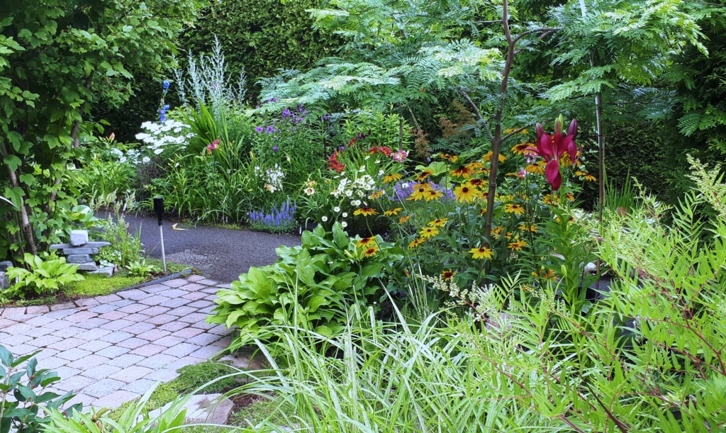 Juillet en douce chez Coxi... - Page 9 20190988