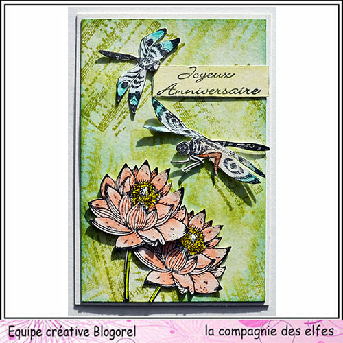 Cartes libellule 3/3 Blogo406