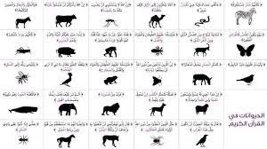 رموز الحيوانات في القرآن وتأويلها  Oaoa_110