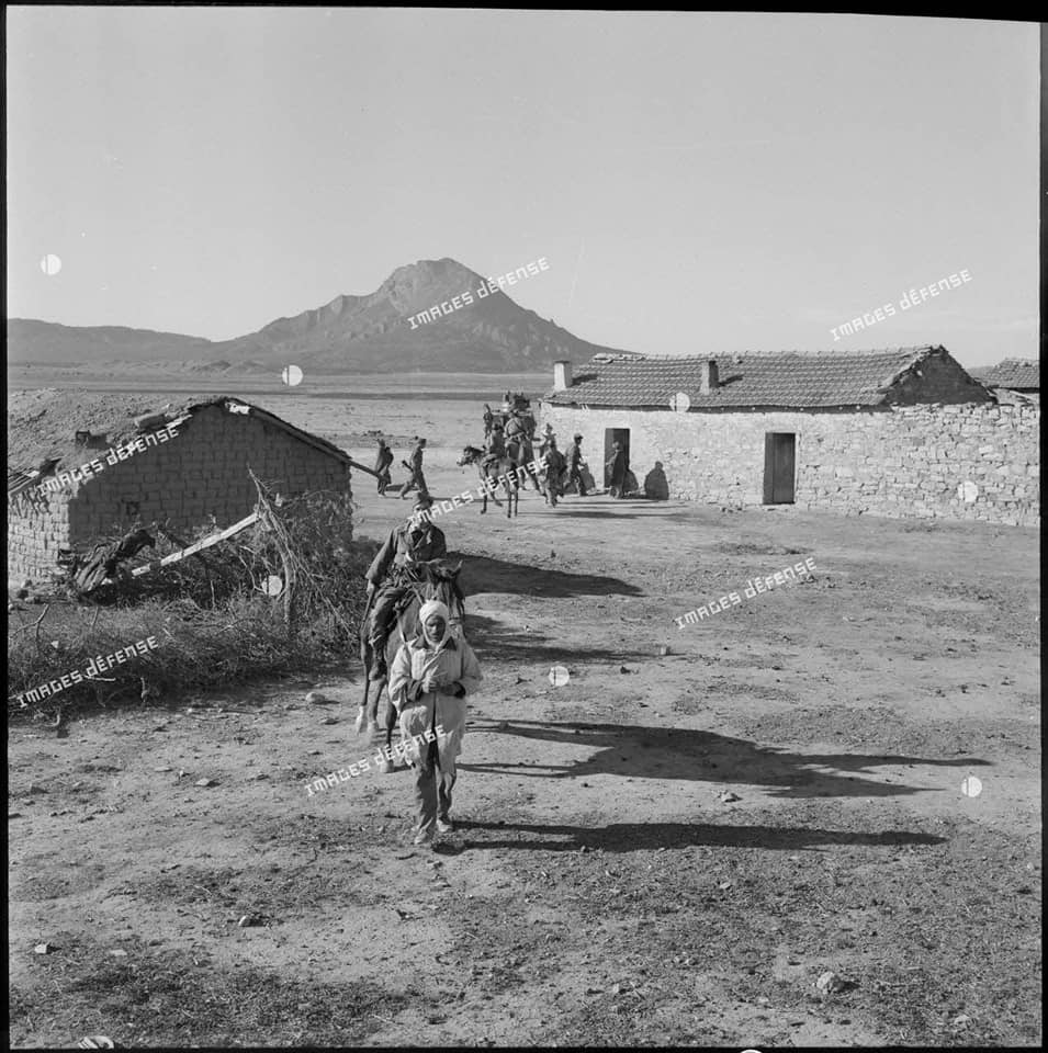معركة جبل الذروة بوخضرة سبتمبر 1959 28396010
