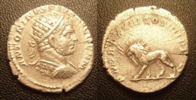Ma modeste collection de monnaies romaines  - Page 2 59980010