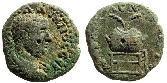 Bronze provincial de Gallien B07b9d10