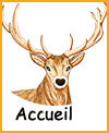 Accueil