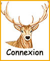 Connexion