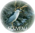 Nouveaux messages