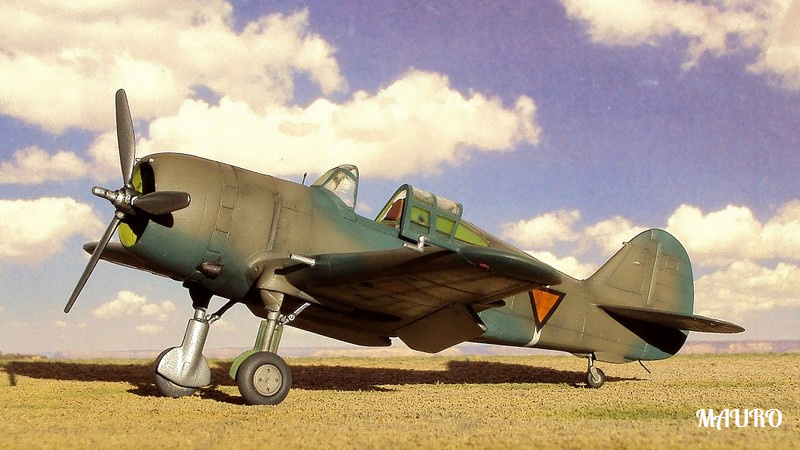CURTISS P-36 - Aoshima - 1/72 Descar10
