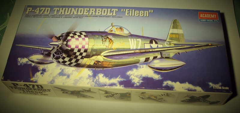 P-47D Thunderbolt - ACADEMY- 1/72 Dsc05811