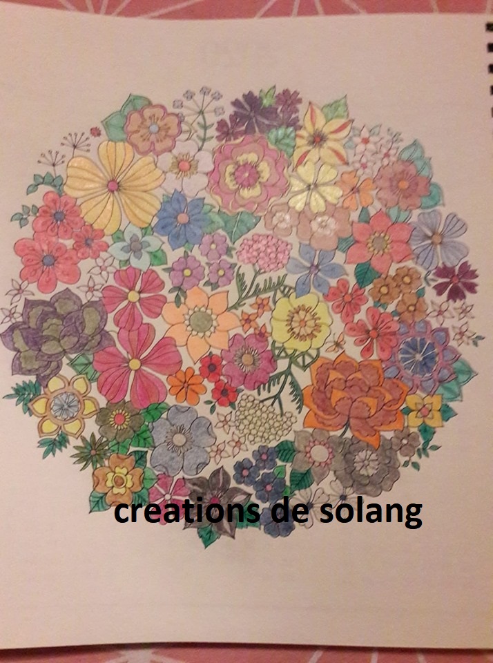 Creations de Solang(e) - Page 10 73155410