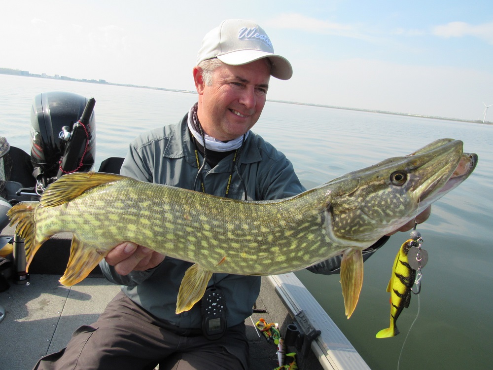 Pikefishing with Luc Coppens on big, weedy water Juist_10