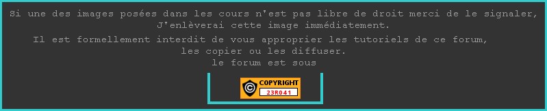 Forum sous Copyright Direct12