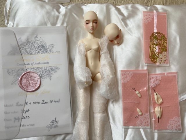 [Vente] BJD Nina Doll Luna WS - 400€  Img_8510
