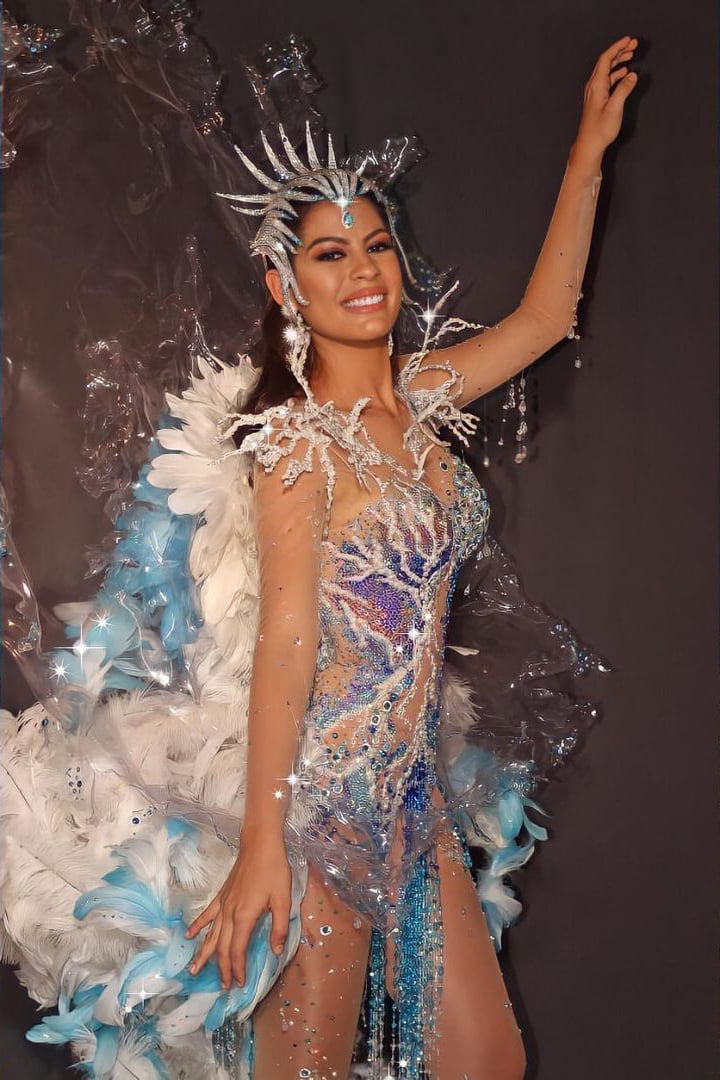 MISS UNIVERSE 2020 - NATIONAL COSTUME 18078211