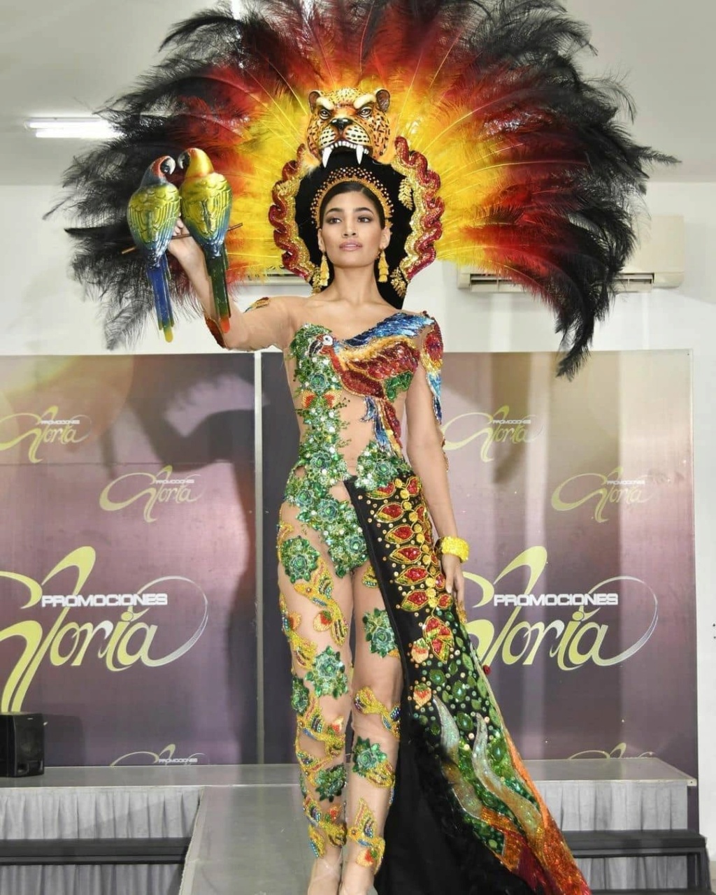 Miss Universe 2021 - NATIONAL COSTUMES 26044111