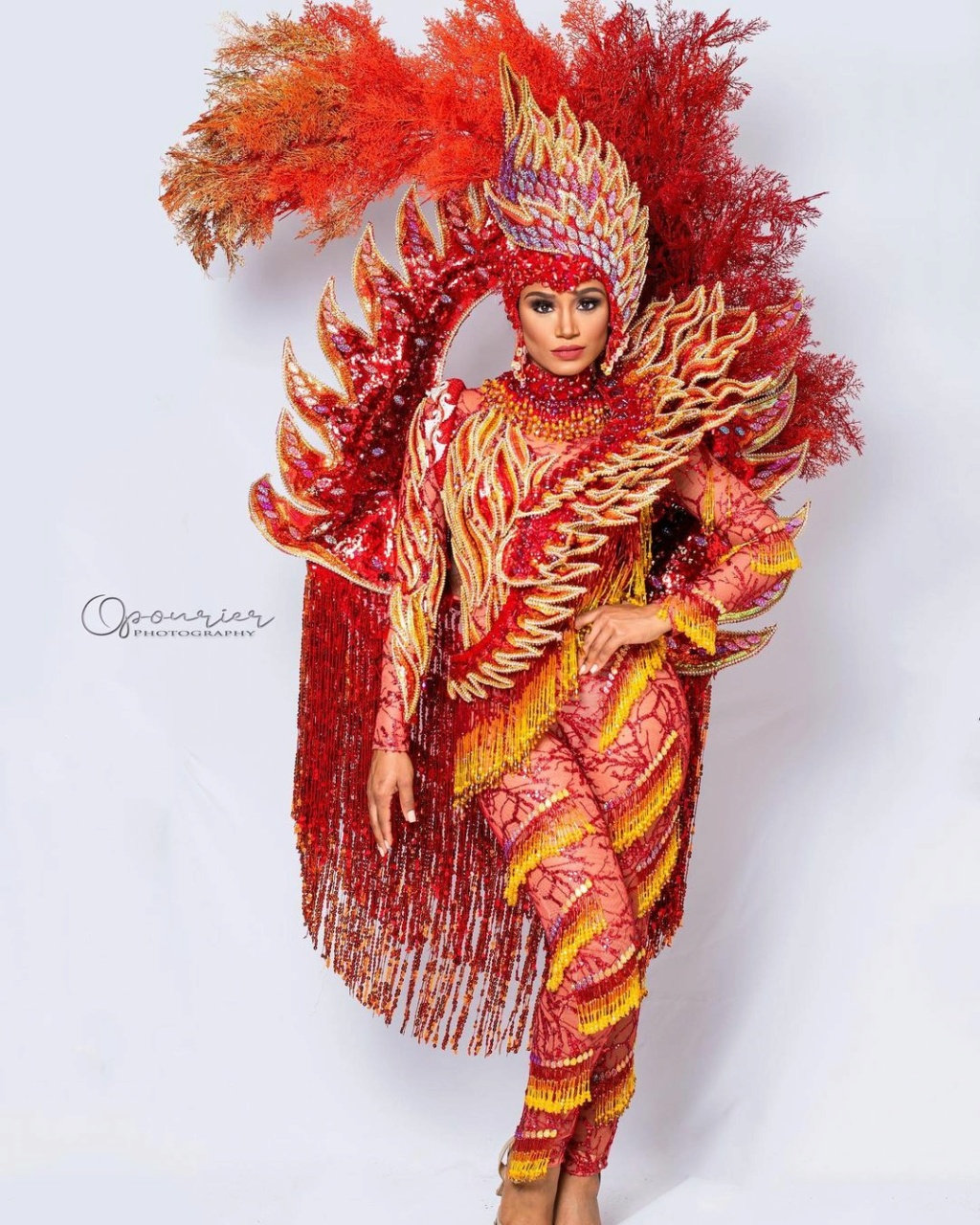 Miss Universe 2021 - NATIONAL COSTUMES 26176315