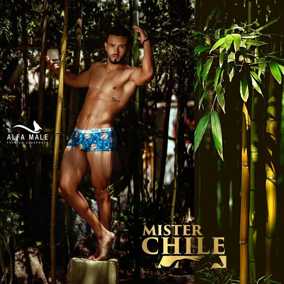 MISTER CHILE 2021/2022 - Page 2 27889411