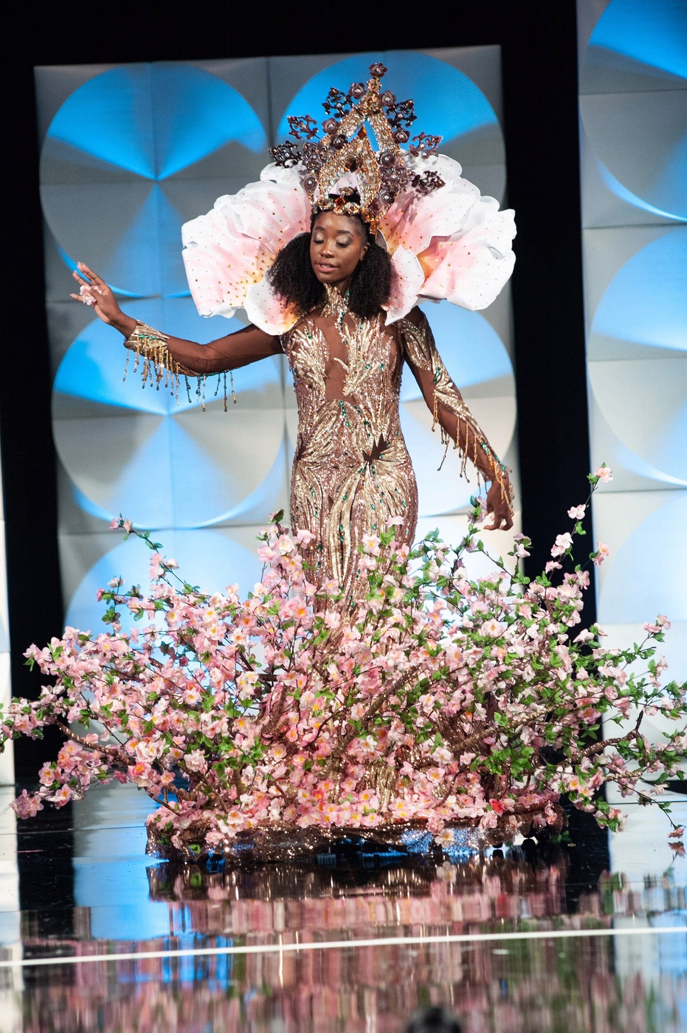 MISS UNIVERSE 2019 - NATIONAL COSTUMES - Page 2 742