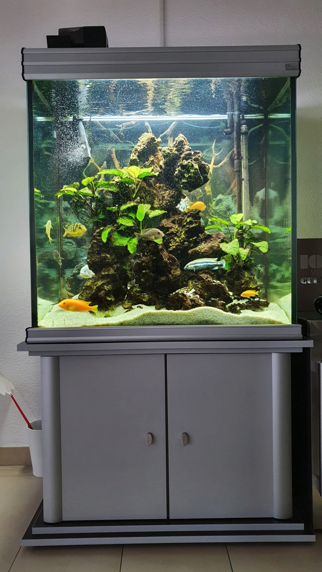Ajout d'un conditionneur dans mon bâtiment Aquari10