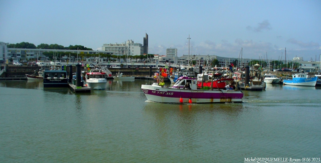 [Vie des ports] Quelques bateaux de pêche (sur nos côtes Françaises) - Page 27 P1080779