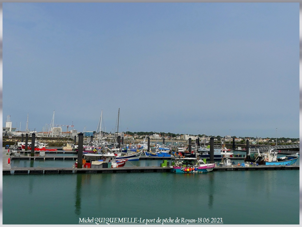 [Vie des ports] Quelques bateaux de pêche (sur nos côtes Françaises) - Page 25 P1110650