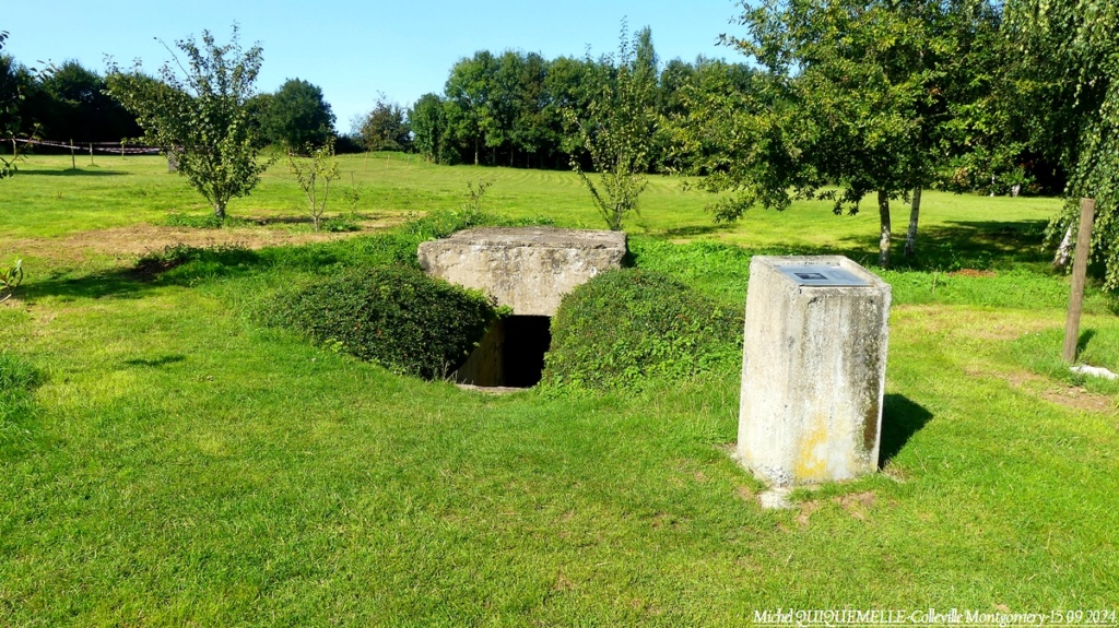 [ Histoire et histoires ] Site Hillman - Colleville-Montgomery P1220844