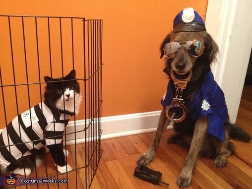 Sabías que el Perro es "el mejor amigo del hombre". Pero un gato JAMAS le dirá a la policía en dónde escondiste la droga Cat-bu10