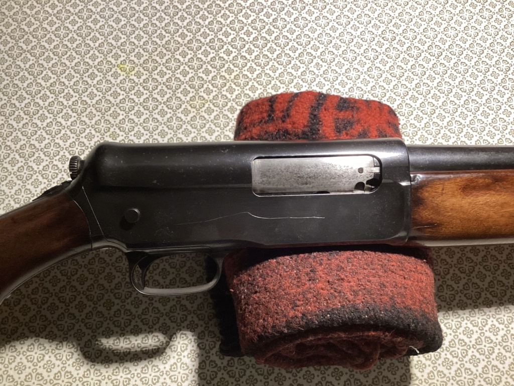 Fusil Winchester #1911 SL 12117010